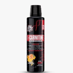L-CARNITINE 310ML